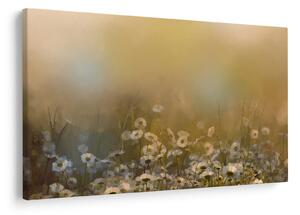 Obraz - Olejomaľba sedmokrások (90x60 cm)