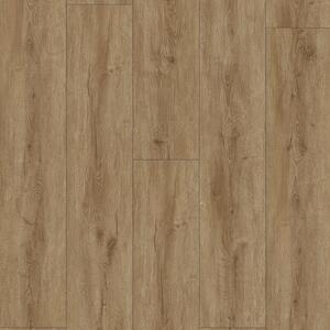 SolidStep ADVANCE Pro Dub Regano ST1202