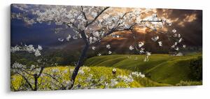 Obraz - Rozkvitnutý strom v krajine (120x50 cm)