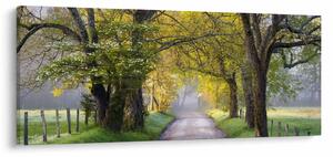 Obraz - Smoky Mountains, Gatlinburg, USA (120x50 cm)
