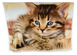 Zateplená deka DOLCEZZA Mačička 130x160 cm v darčekovej krabičke