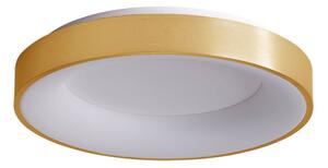 Italux 5304-850RC-GD-3 LED stropné svietidlo Giulia D600mm 50W/2750lm 3000K zlatá, biela