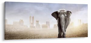 Obraz - Sloníčka vo veľkomeste (120x50 cm)
