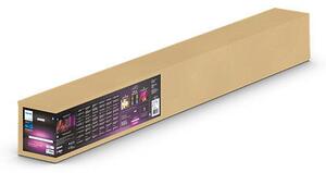 Philips Hue White and color ambiance 8719514343467 Ensis závesné svietidlo LED 2x39W/6000lm 2000-6500K+RGB biela bluetooth