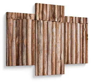 Obraz - Bambus (90x60 cm)