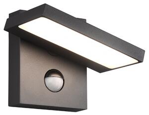 TRIO 226369142 HORTON vonkajšie nástenné svietidlo LED 8W/1000lm 3000K IP54 antracit pohybový senzor