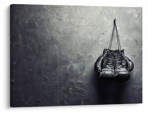 Obraz boxerských rukavíc (70x50 cm)