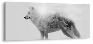 Obraz - Arktický vlk zrkadliaci divokú krajinu, čiernobiely (120x50 cm)