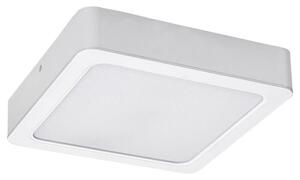 RABALUX 3175 Shaun stropné svietidlo LED 18W/1845lm 4000K biela