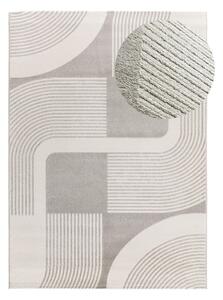Koberec vo svetlosivej a slonovinovej farbe 80x150 cm Flora – Universal