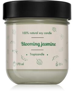Tropicandle Blooming Jasmine vonná sviečka 170 ml