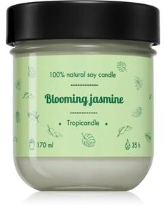 Tropicandle Green Tea vonná sviečka 170 ml