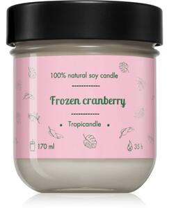 Tropicandle Frozen Cranberry vonná sviečka 170 ml