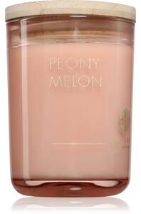 DW Home Ur•Bane Peony Melon vonná sviečka 215 g