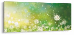 Obraz - Odkvitnuté púpavy (120x50 cm)