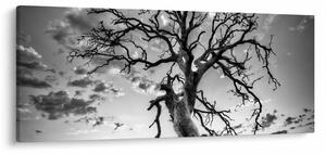 Obraz - Čiernobiely strom (120x50 cm)