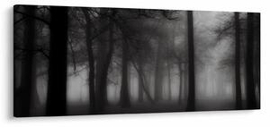 Obraz - Les v hmle (120x50 cm)