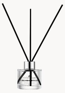 Difúzor Chlorophylle (Tulip, Vetiver & Freesia), 100 ml