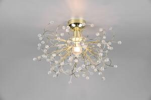 TRIO Reality R61311003 GLORIA stropné svietidlo D520mm 1xE27 mosadzná lesklá