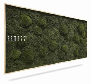 Machový obraz FLATMOSS & BOLMOSS Natural Green - 60 x 60 cm