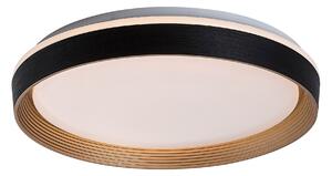 Rabalux LADAN LED stropné svietidlo 71308