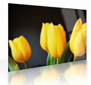 Sklenený obraz tulipánov (70x50 cm)