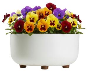 PLASTOVÝ KVETINÁČ TERRA 30X14,5 CM BIELA