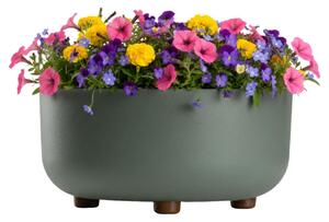 PLASTOVÝ KVETINÁČ TERRA 30X14,5 CM MÄTOVÁ