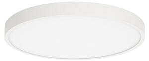 ITALUX PLF-75689-WH-4K Riberio stropné svietidlo LED D280mm 30W/2700lm 4000K biela