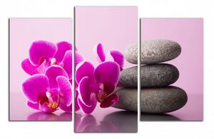 Obraz na plátne Orchidea a zen kamene
