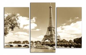 Obraz na stenu Eiffelovka a rieka