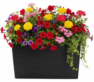 PLASTOVÝ KVETINÁČ BLOOM RIFLO 36X56X20 CM ČIERNA