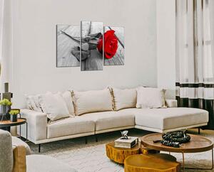 Obraz do bytu Červená ruža