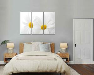 Obraz na stenu Biele kvety