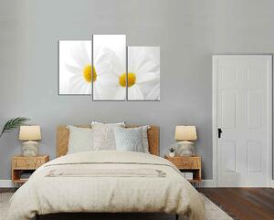 Obraz na stenu Biele kvety