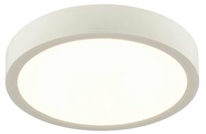 STROPNÉ LED SVIETIDLO, 22,5/3,6 cm Boxxx - Interiérové svietidlá