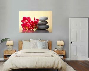 Obraz na plátne Orchidey a zen kamene
