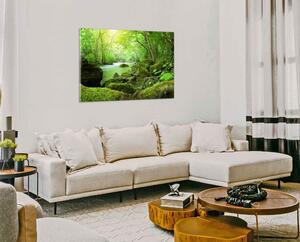 Obraz na stenu Zelený les