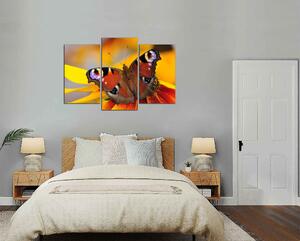 Moderný obraz Motýľ