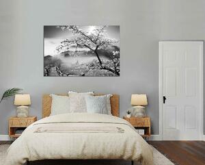 Obraz na stenu Čiernobiely obraz Strom a hory
