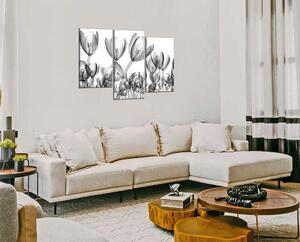 Moderný obraz Čiernobiele tulipány