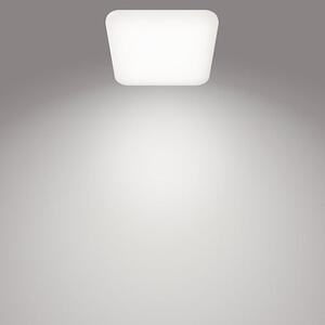 Philips 8720169195516 Mauve CL270 EC SQ stropné svietidlo LED 430x430mm 24W/3000lm 4000K biela