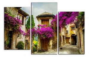 Moderný obraz Provence