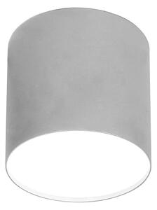 LED Stropné svietidlo 1xGU10/35W/230V