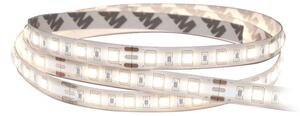 SOLIGHT LED SMD pásik, 50m, neutrálna biela, 16W/m, 1500lm/m, 10mm