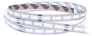 SOLIGHT LED SMD pásik, 50m, studená biela, 16W/m, 1500lm/m, 10mm