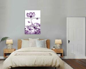 Obraz na plátne Fialové kvety