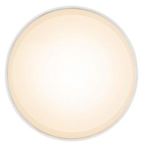 Globo 12015W - LED Stropné svietidlo JENNY LED/8W/230V