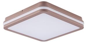 Brilagi -LED vonkajšie stropné svietidlo BENE LED/24W/230V 26x26 cm hnedé IP54