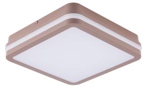 Brilagi -LED Vonkajšie stropné svietidlo BENE LED/18W/230V 21,5x21,5 cm hnedá IP54